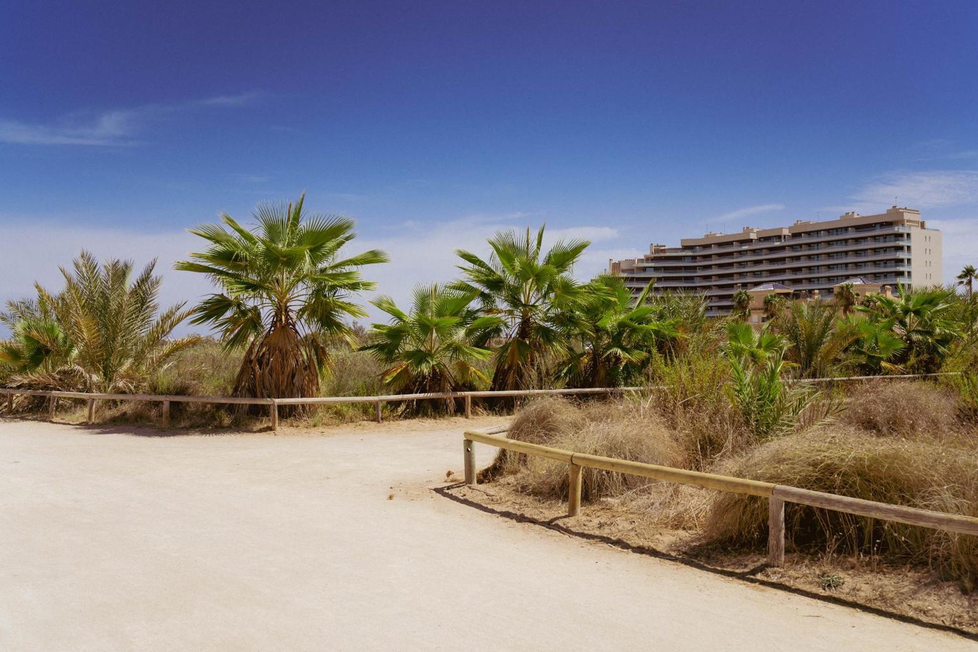 Los Flamencos - Playa Paraiso - Calle Bomilcar 카르타헤나 외부 사진